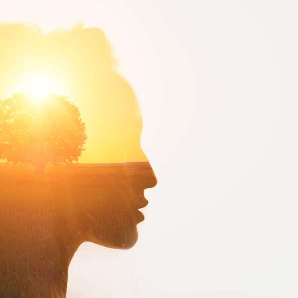 La formation en hypnose ericksonienne permet d'acquérir toutes les connaissances pour devenir un hypnothérapeute efficace