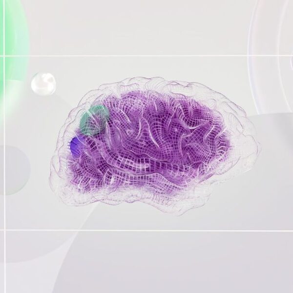 l'hypnose neuro-créative stimule les réseaux cérébraux favorisant le changement.
