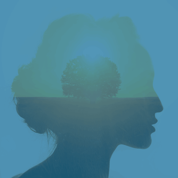 Soirée de présentation de la formation certifiante en hypnose ericksonienne, le mercredi 2 septembre à 20h00